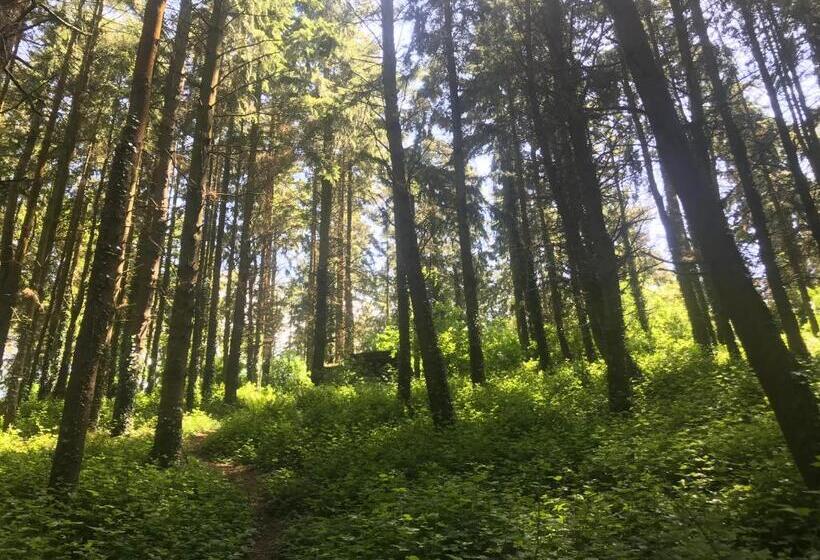 בית מלון כפרי Shepherds Huts Ham Hill, 2 Double Beds, Bathroom, Lounge, Diner, Kitchen, Love Dogs & Cats Looking O