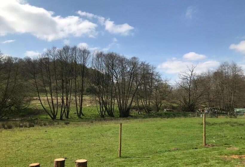 בית מלון כפרי Shepherds Huts Ham Hill, 2 Double Beds, Bathroom, Lounge, Diner, Kitchen, Love Dogs & Cats Looking O