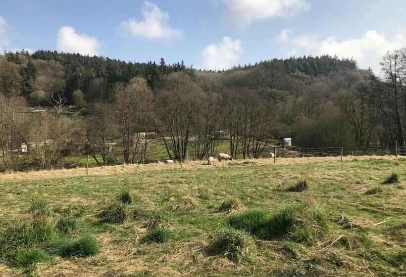 בית מלון כפרי Shepherds Huts Ham Hill, 2 Double Beds, Bathroom, Lounge, Diner, Kitchen, Love Dogs & Cats Looking O