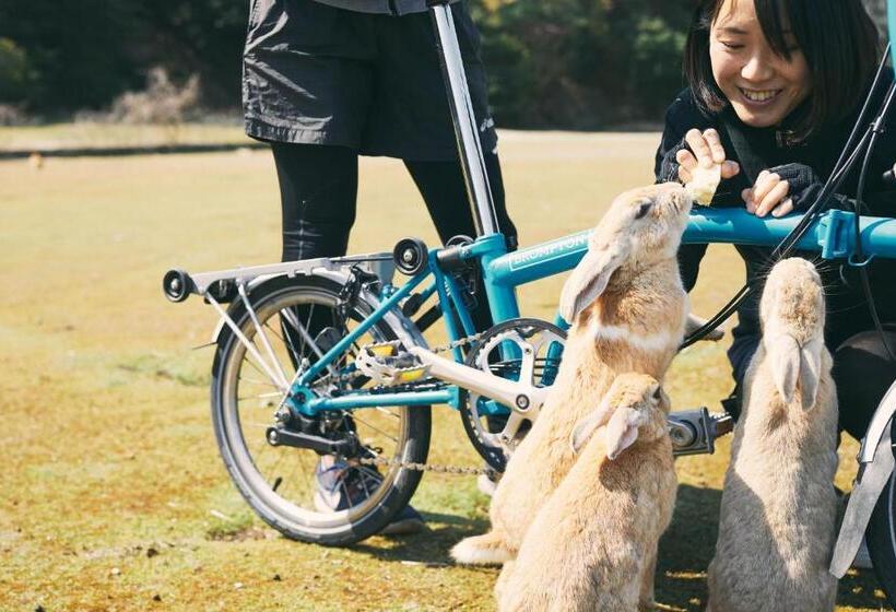 בית מלון כפרי Wakka