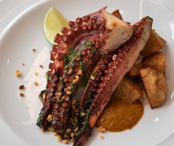 酒店 Torel Terra Brava