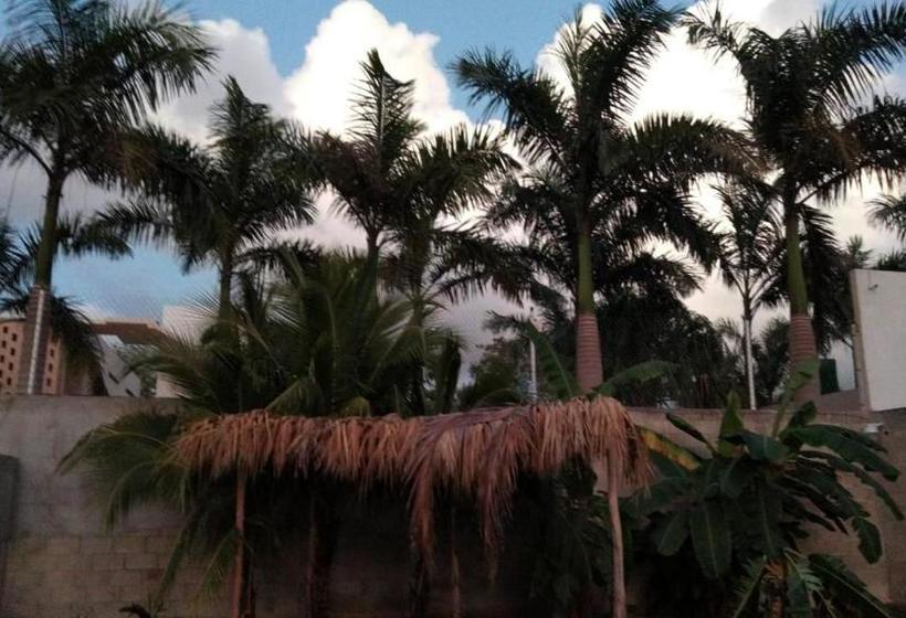 Nicté-ha Cancun B&b