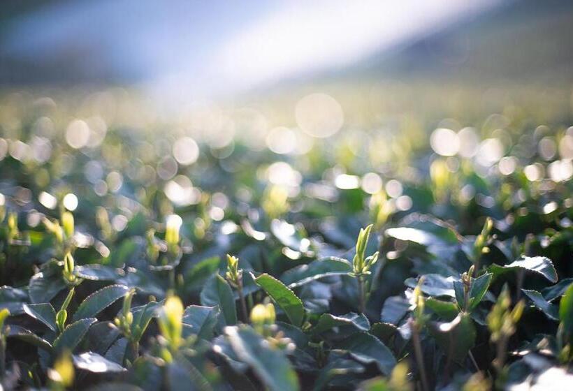 Nipponia Hotel Yamefukushima Merchant Town