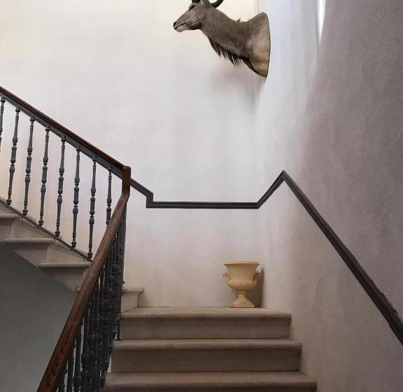 Palazzo Romanelli B&b