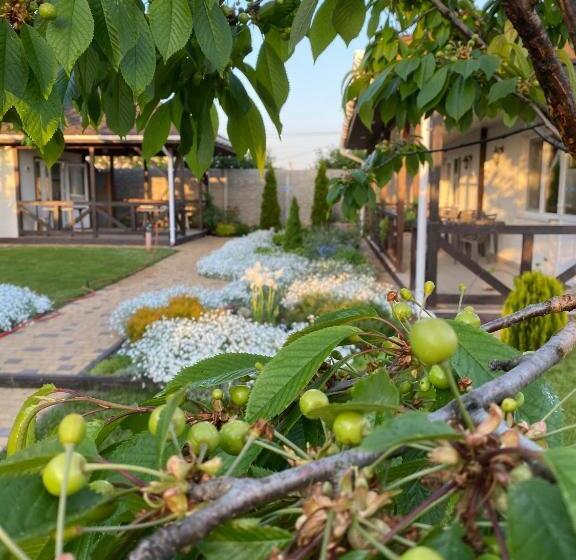 پانسیون три кошки