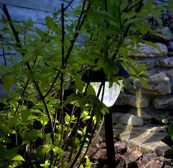 پانسیون три кошки