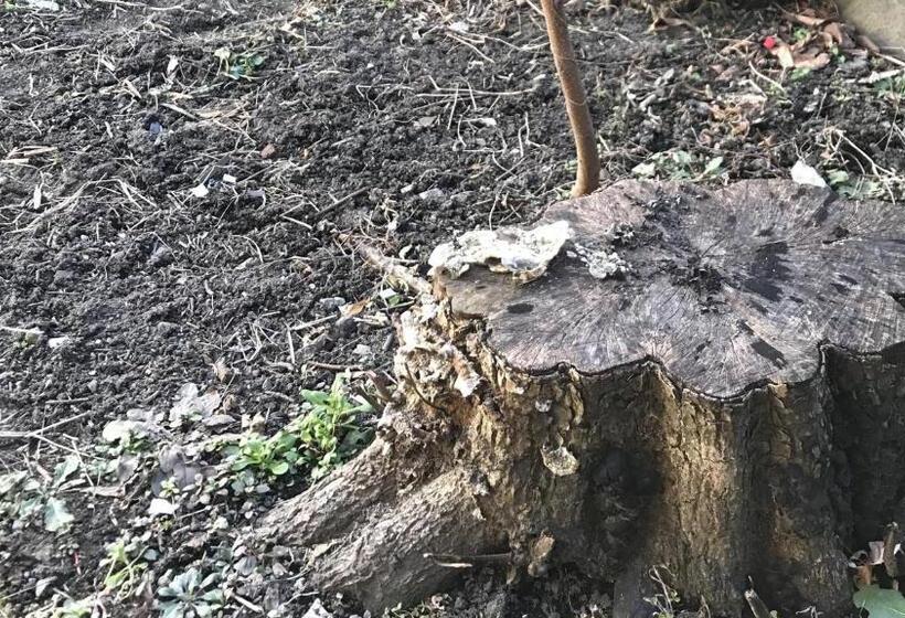 Pension Hostel みんか松本