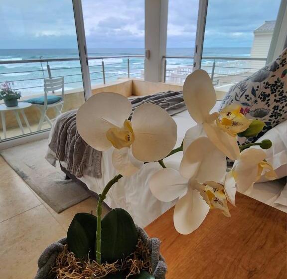 بنسيون Waves Of Grace Seafront Villa