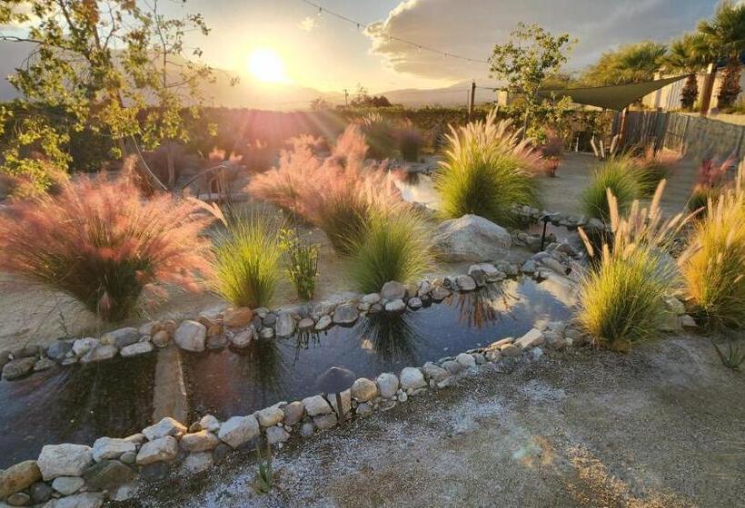 渡假胜地 Azure Palm Hot Springs