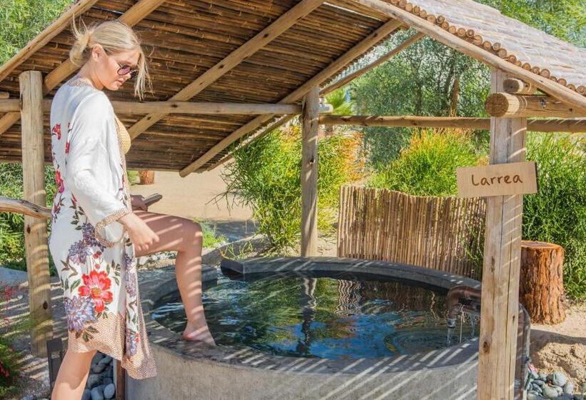 渡假胜地 Azure Palm Hot Springs