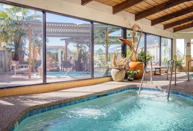 渡假胜地 Azure Palm Hot Springs