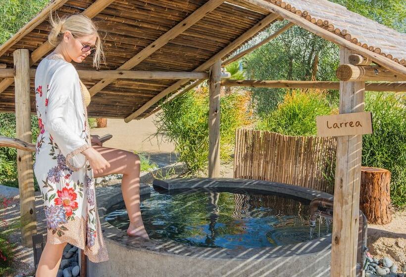 渡假胜地 Azure Palm Hot Springs