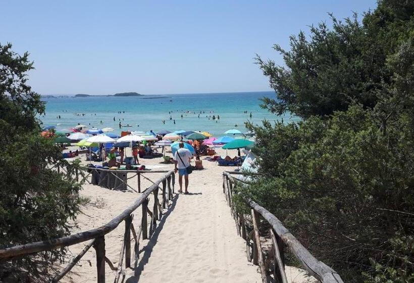 B&b Piazza Del Popolo