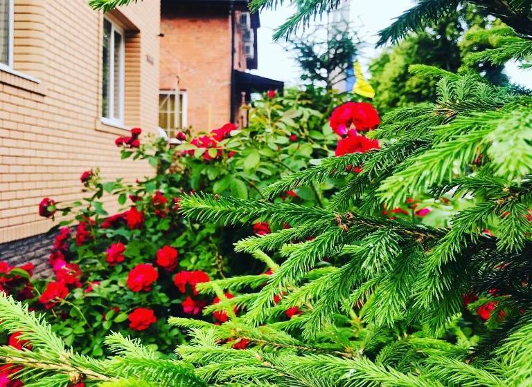 민박 міні готель садиба