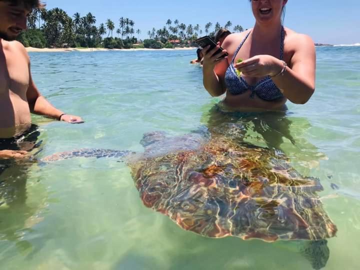 Bed and Breakfast Jasmine White House Restaurant & Spa