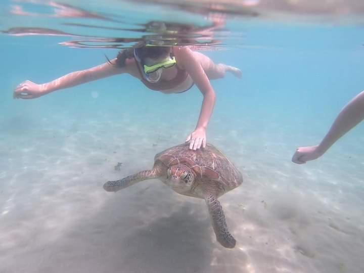 住宿加早餐  Jasmine White House Restaurant & Spa