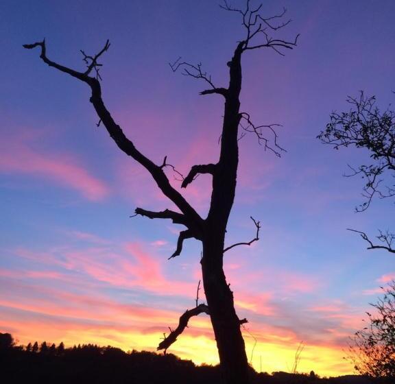 Bed and Breakfast Le Moulin De Razou