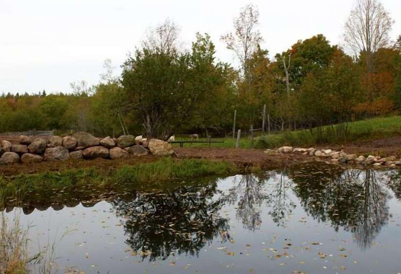 Green Dragon Organic Farm And B&b