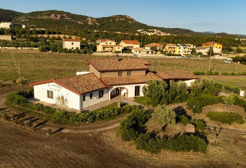 호텔 Agriturismo Sa Scalitta
