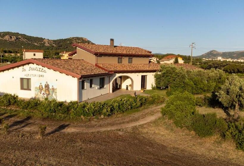 호텔 Agriturismo Sa Scalitta