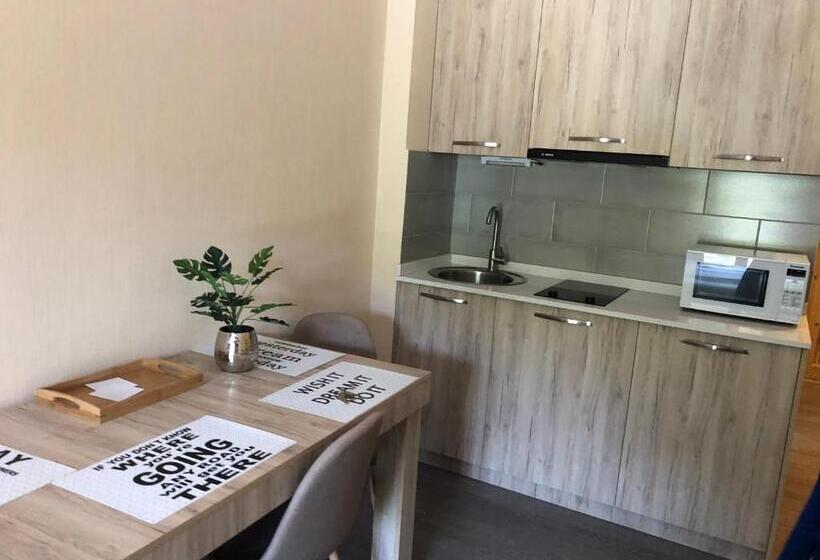 هتل Bakuriani The Valley 115   202