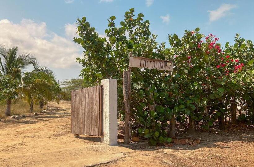 هتل Coccoloba Beach Hostel