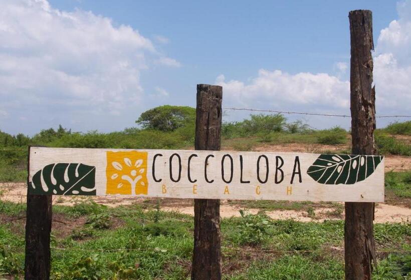 هتل Coccoloba Beach Hostel
