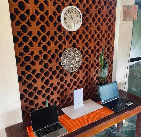 בית מלון כפרי Coccoloba Beach Hostel