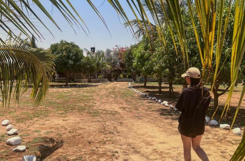 בית מלון כפרי Coccoloba Beach Hostel