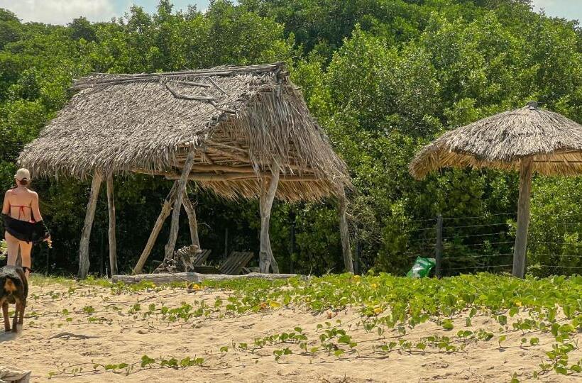 هتل Coccoloba Beach Hostel