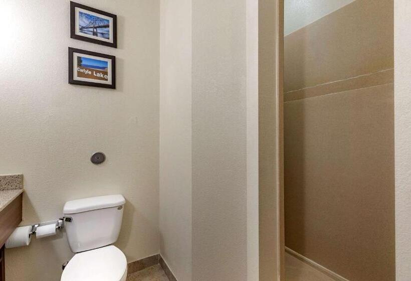 בית מלון כפרי Comfort Inn & Suites Greenville I70