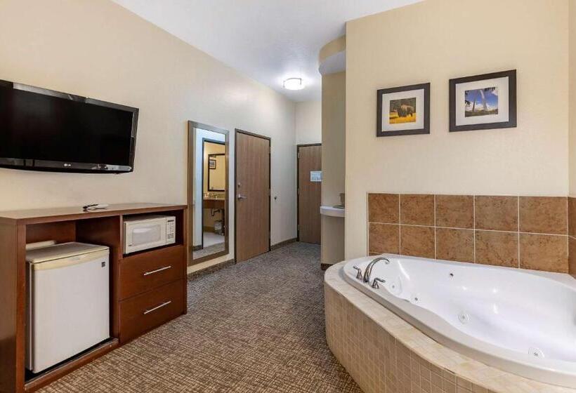 בית מלון כפרי Comfort Inn & Suites Greenville I70
