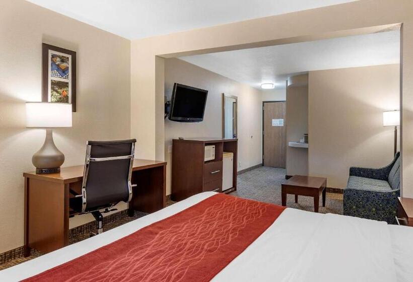 בית מלון כפרי Comfort Inn & Suites Greenville I70