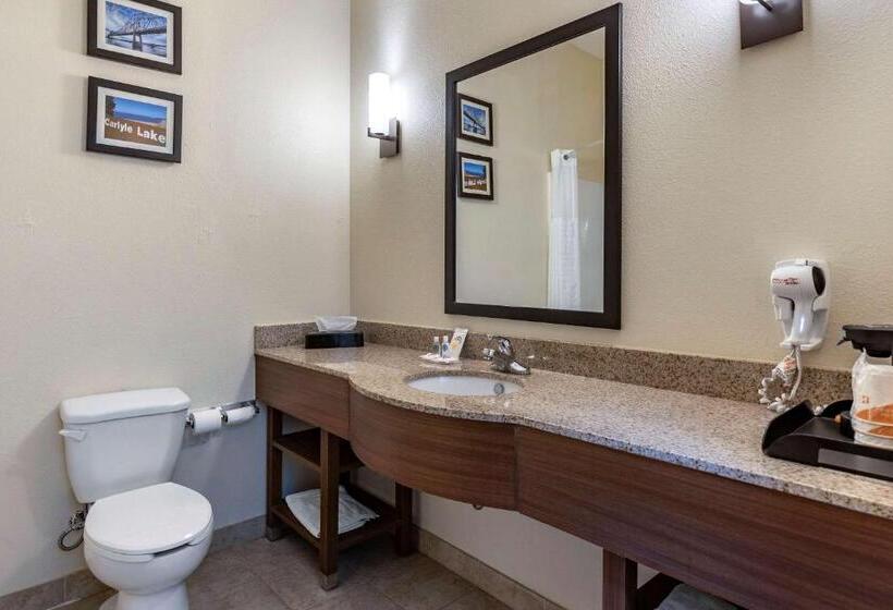 בית מלון כפרי Comfort Inn & Suites Greenville I70