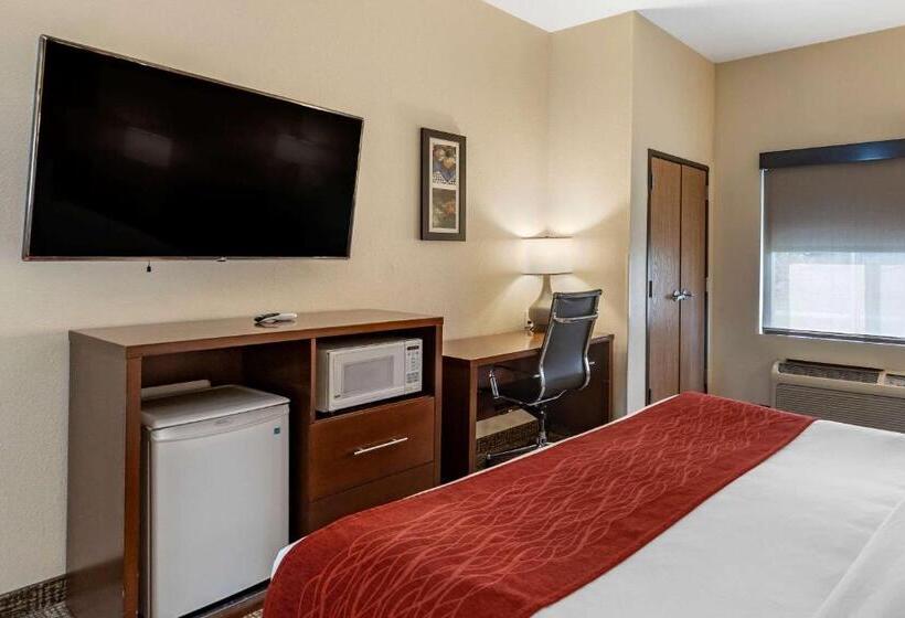 בית מלון כפרי Comfort Inn & Suites Greenville I70