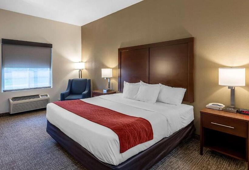 בית מלון כפרי Comfort Inn & Suites Greenville I70