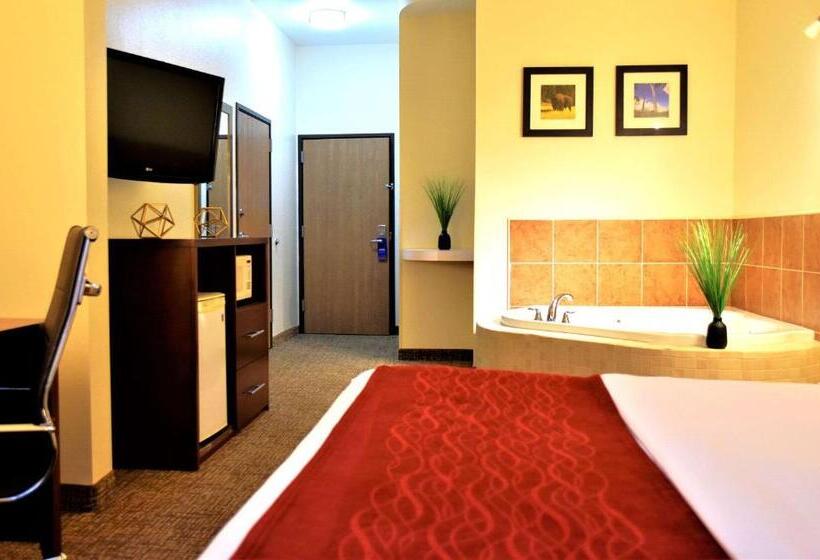 בית מלון כפרי Comfort Inn & Suites Greenville I70