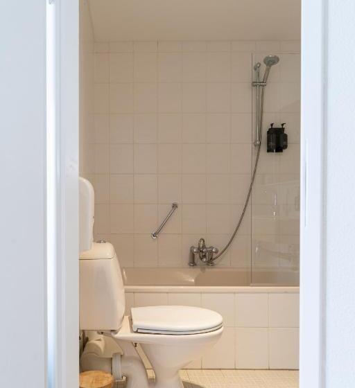 בית מלון כפרי De Duif Lisse   Keukenhof