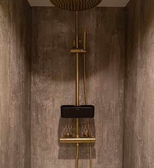 בית מלון כפרי De Duif Lisse   Keukenhof