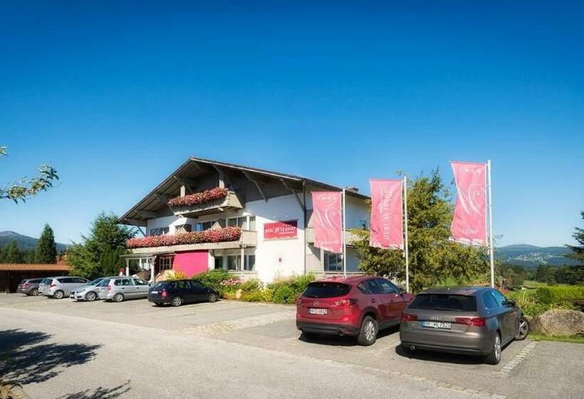 Отель Der Wieshof