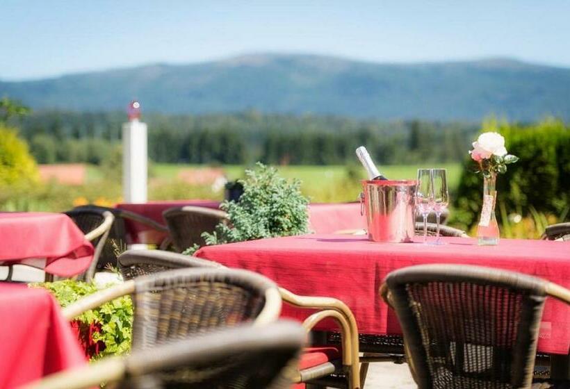 Отель Der Wieshof