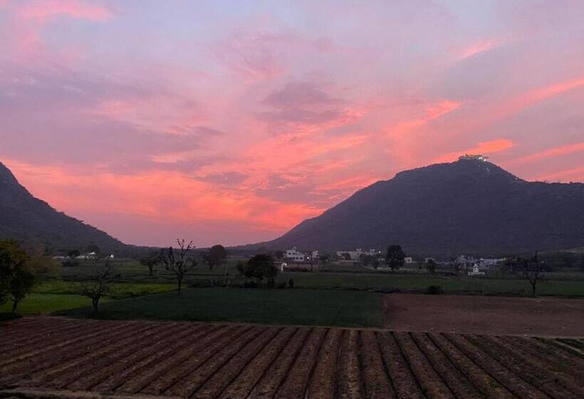 هتل Divine Palace Pushkar