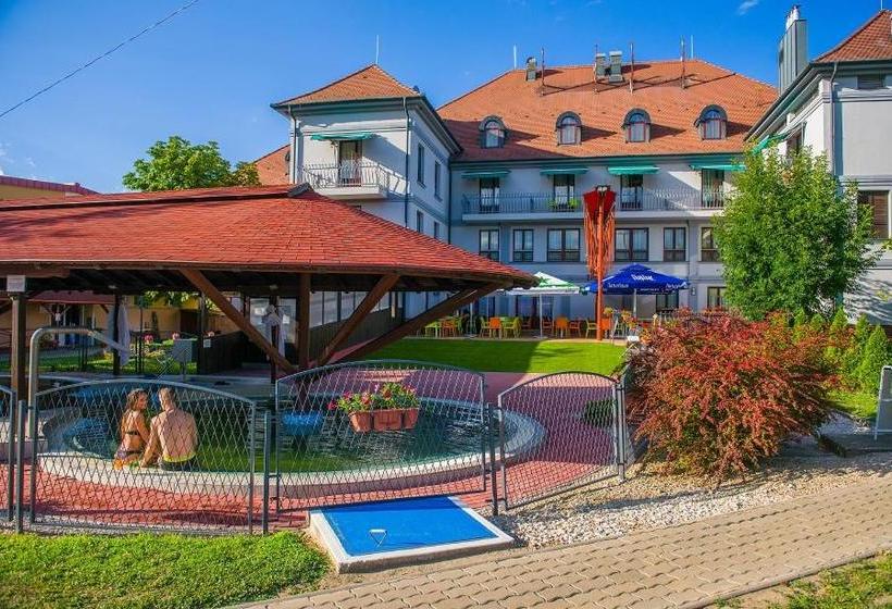 בית מלון כפרי Kamilla