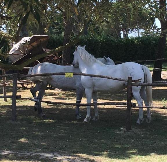 בית מלון כפרי Lou Garbin