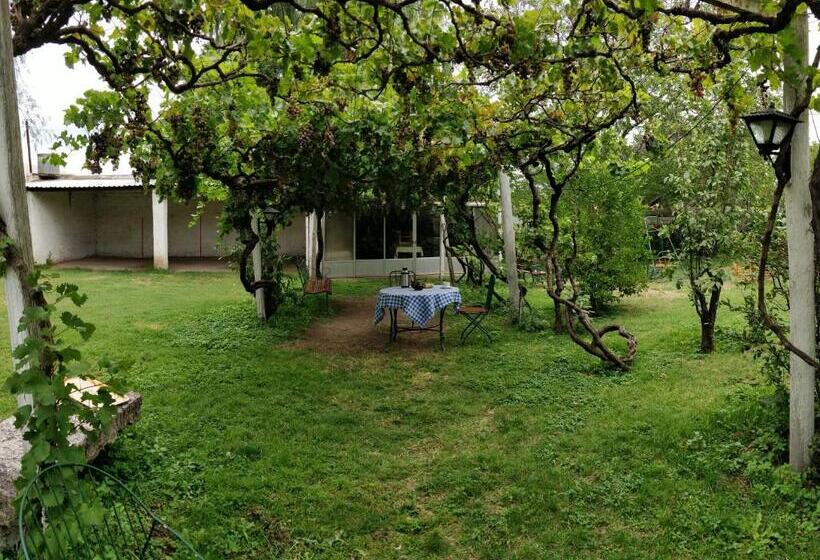 בית מלון כפרי Plaza