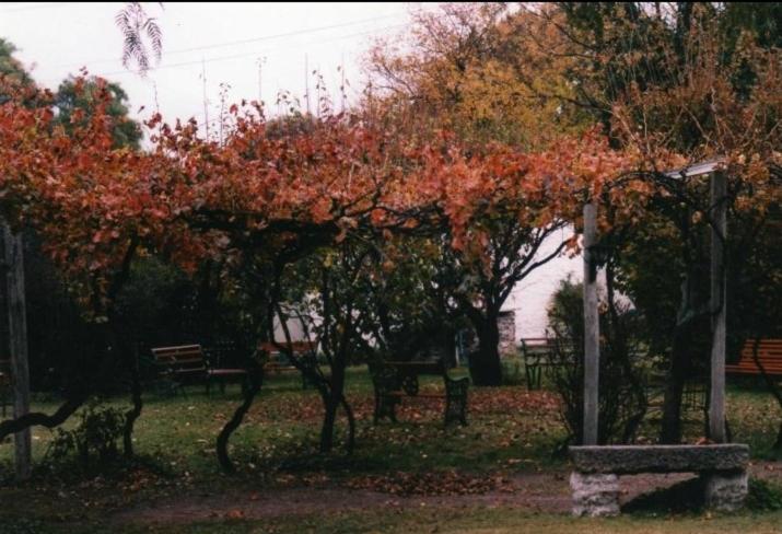 בית מלון כפרי Plaza