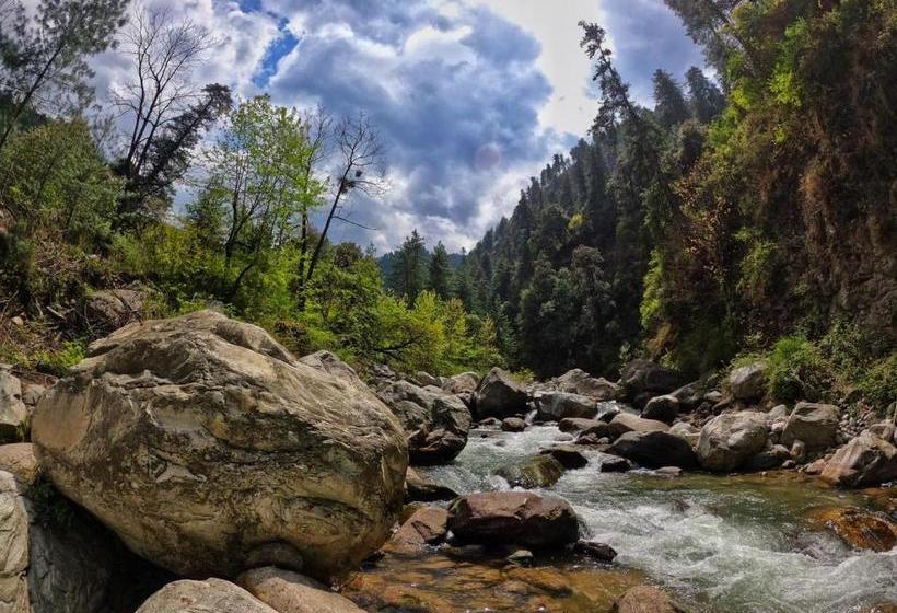 호텔 Tirthan Anglers  Retreat