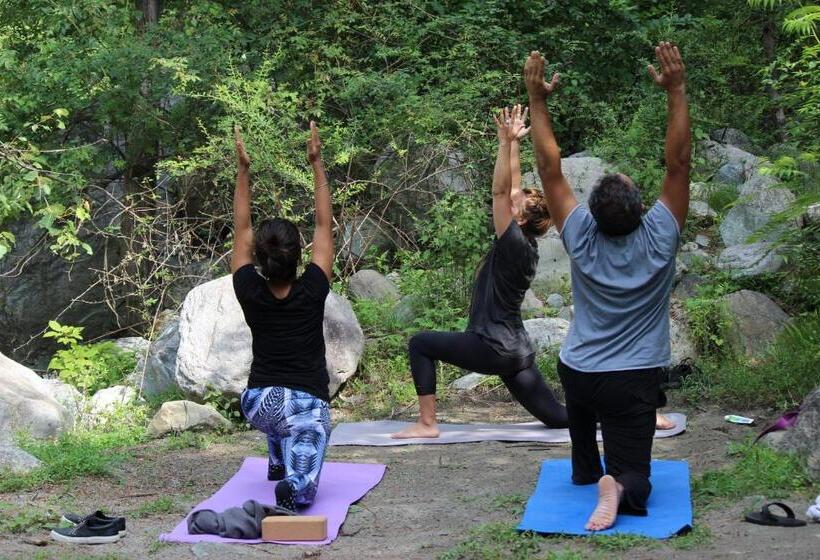 호텔 Tirthan Anglers  Retreat