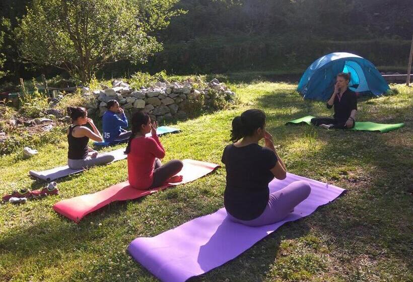 호텔 Tirthan Anglers  Retreat