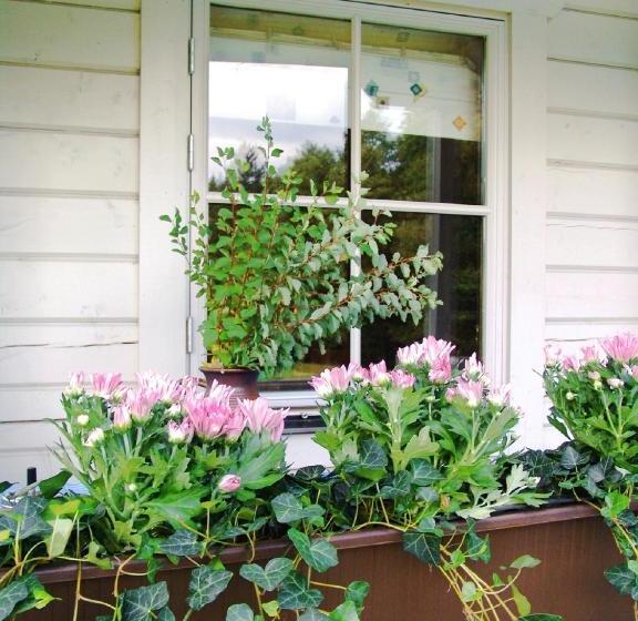 Landhaus Pension Zum Waffenschmied